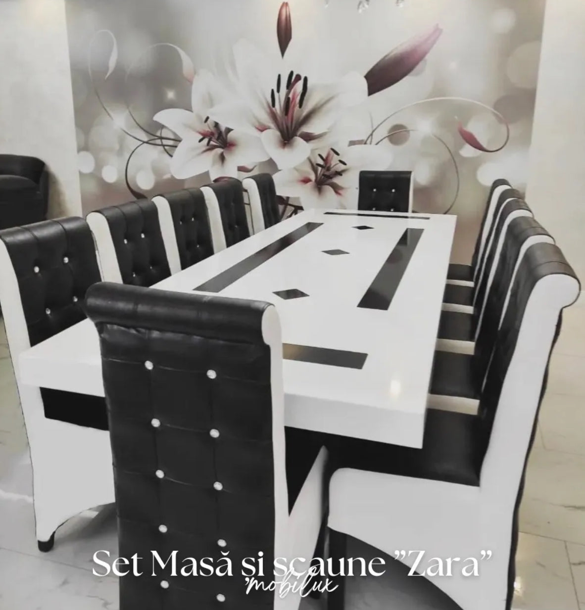 Set Masă Și 12 Scaune Zara, Alb&Negru